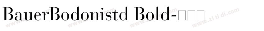 BauerBodonistd Bold字体转换